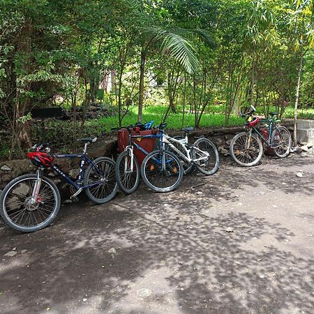 Shamba Hostel Usa River Екстер'єр фото