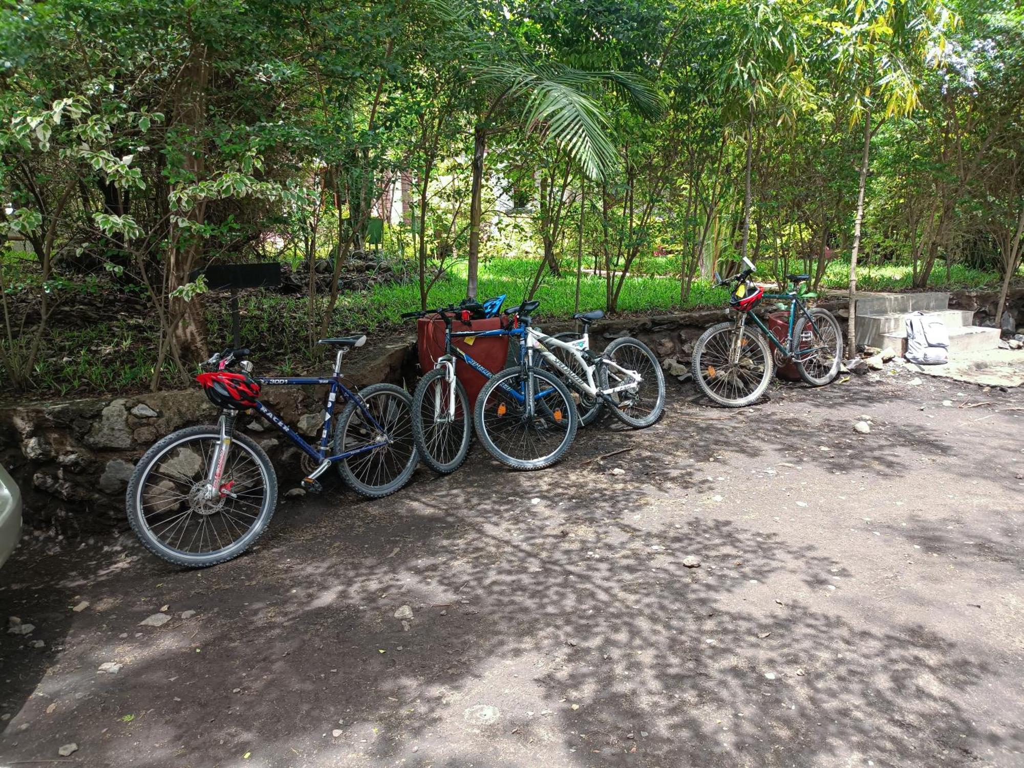 Shamba Hostel Usa River Екстер'єр фото
