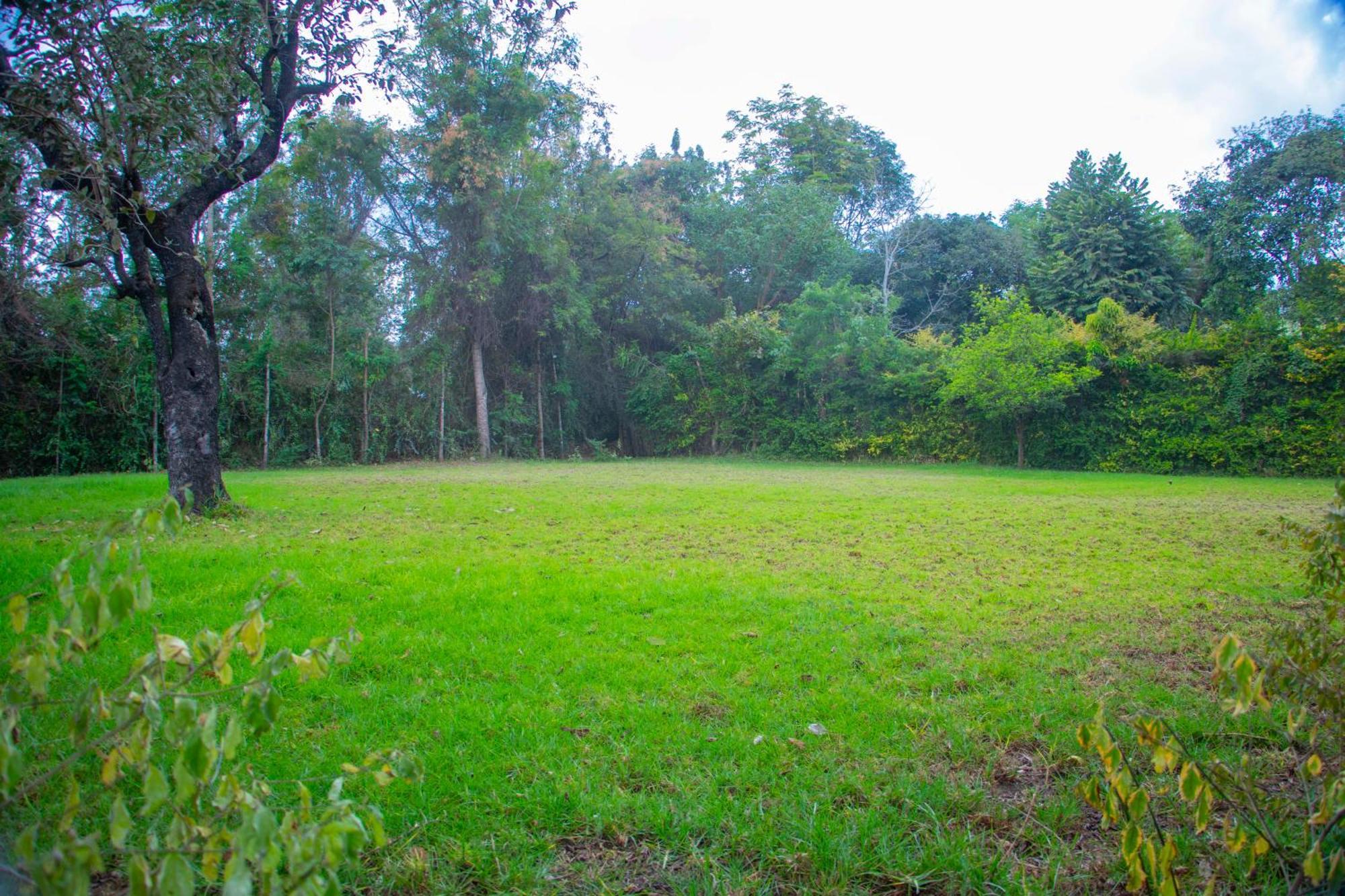 Shamba Hostel Usa River Екстер'єр фото
