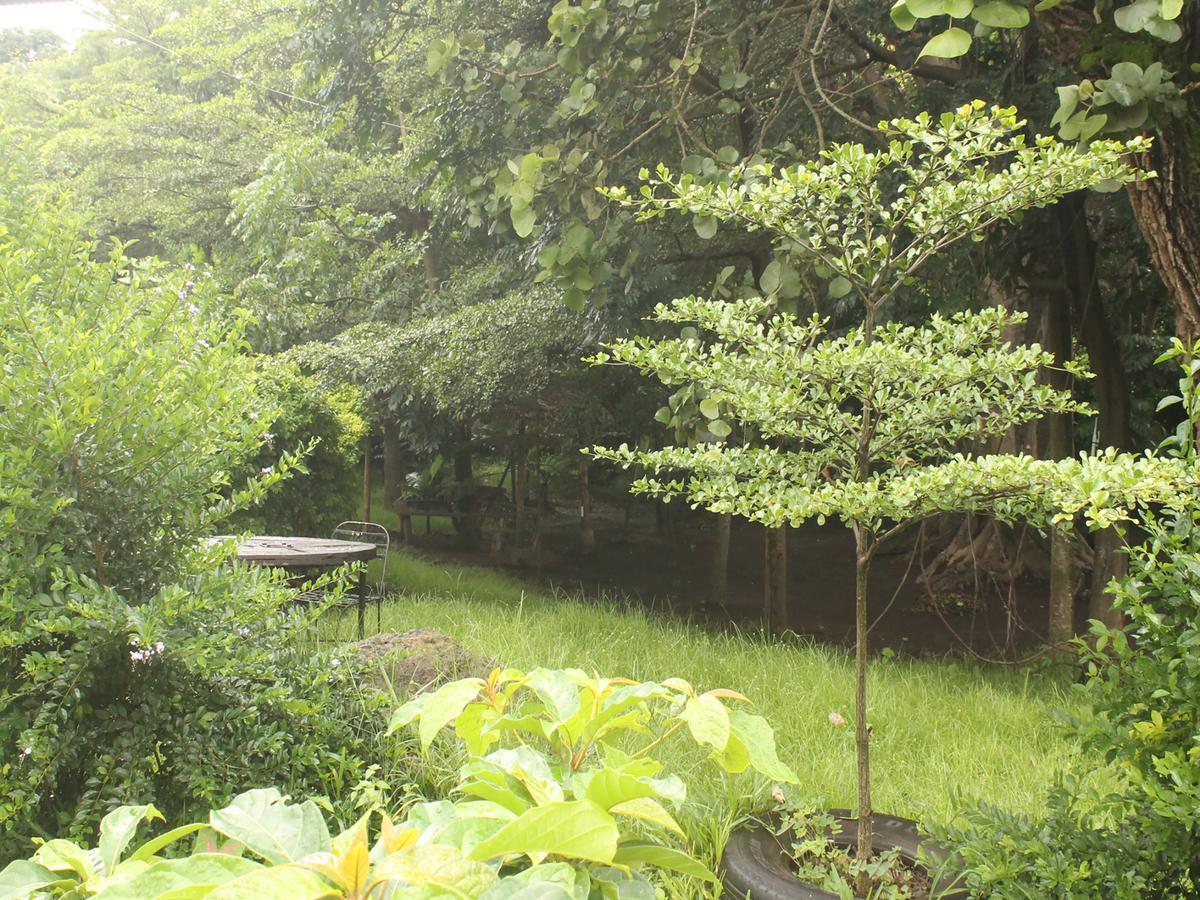 Shamba Hostel Usa River Екстер'єр фото